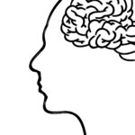 Amygdala in unserem Gehirn spielt wesentliche Rolle bei Entstehung der Angst