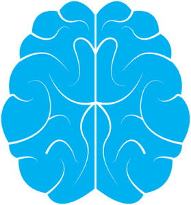 amygdala Gehirn mit Amygdala, welche eine essentielle Rolle bei der Entstehung der Angst wirkt.