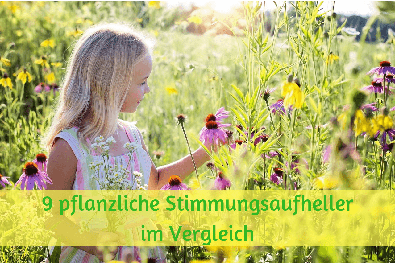 9 pflanzliche Stimmungsaufheller im Vergleich