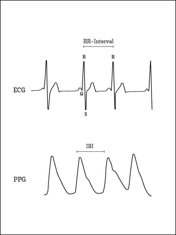 ppg-ecg-signal