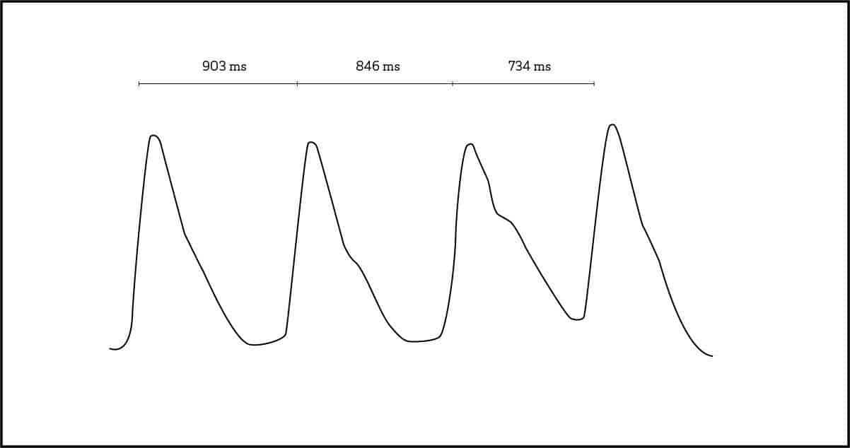 ppg-graph
