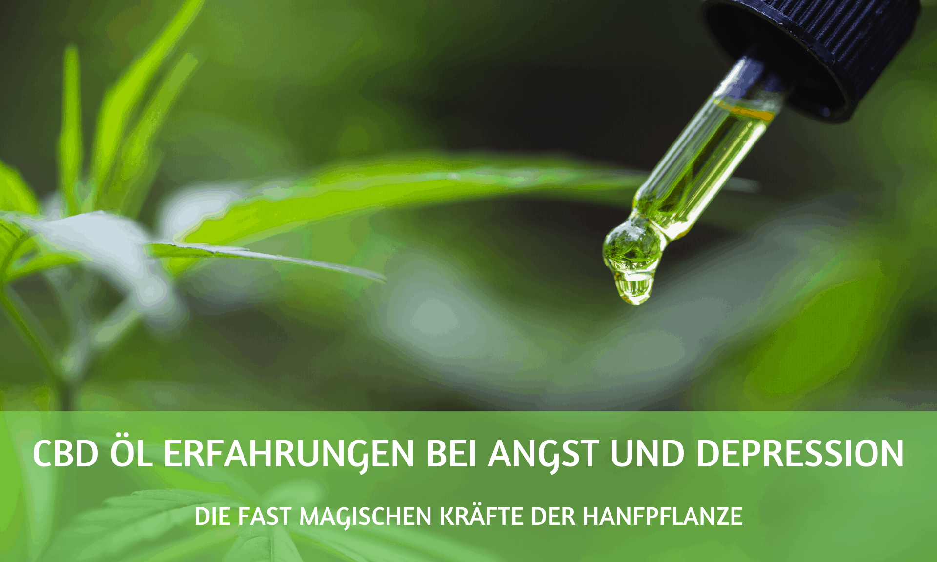CBD Oel Erfahrungen bei Angst und Depression