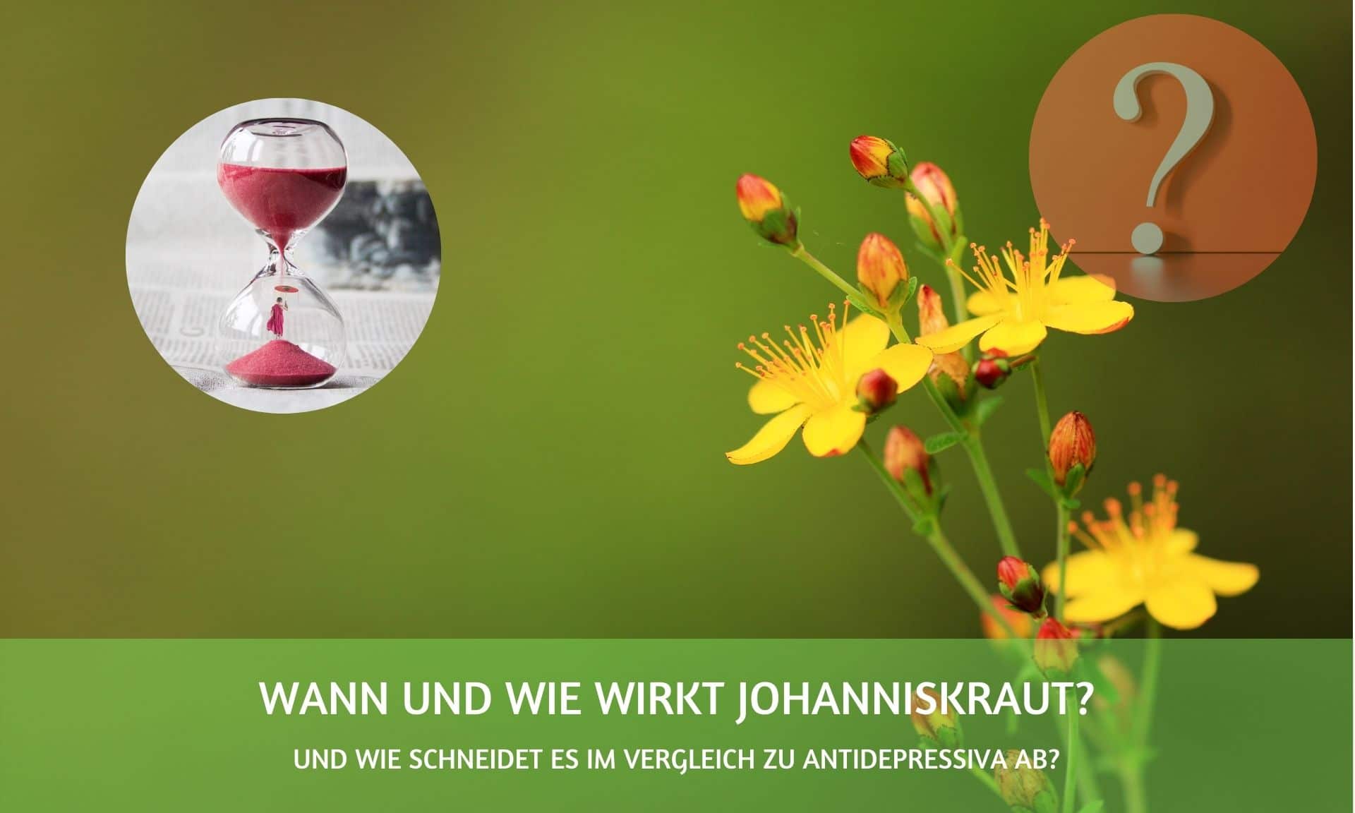 Wie oft darf man Johanniskraut am Tag einnehmen? Wie oft darf man Johanniskraut am Tag einnehmen?