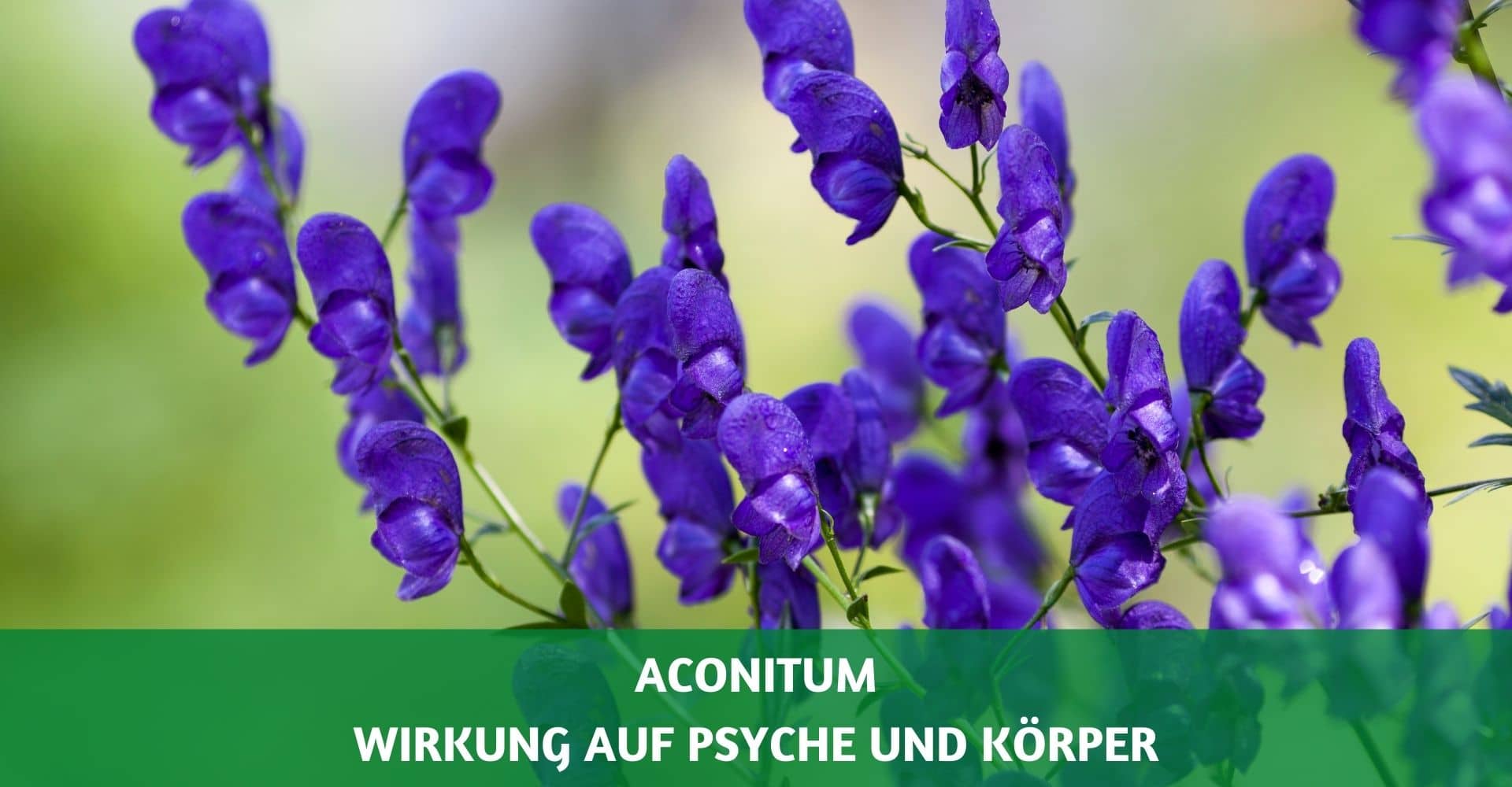 Duloxetin Einnahme oder abends?