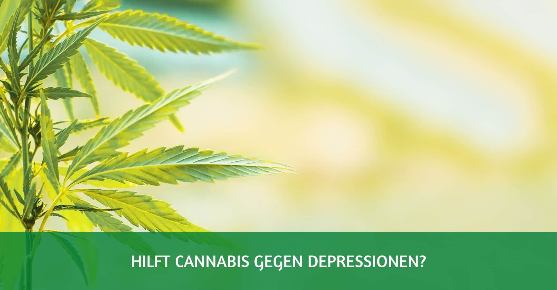 Cannabis gegen Depressionen hilft es wirklich?