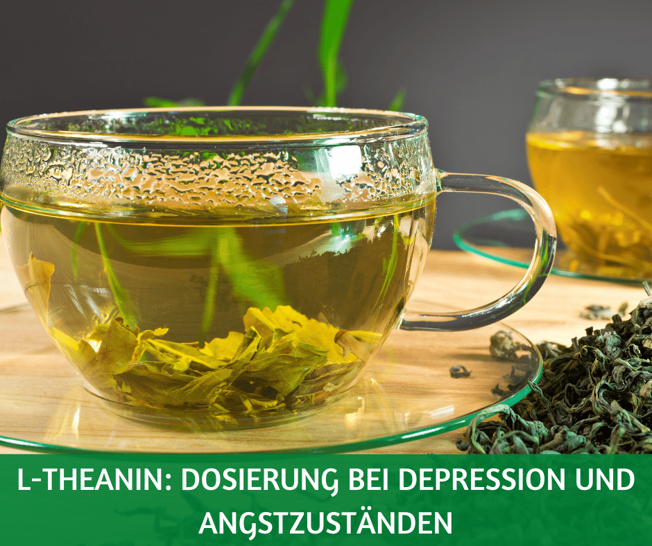L-Theanin: Dosierung bei Depression und Angstzuständen