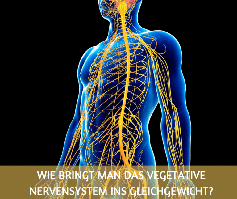 Wenn Das Vegetative Nervensystem Verrückt Spielt Vegetatives Nervensystem beruhigen - meine Lieblingsmethode